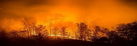 Representational Photo. Credit: Getty Images