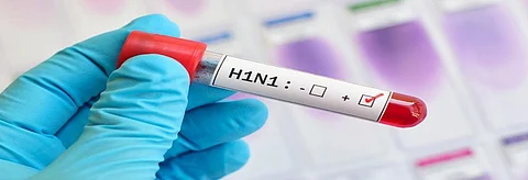 Over 50 people die due to swine flu in just one month