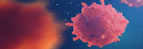 In a first, scientists turn cancer cells into fat in mice