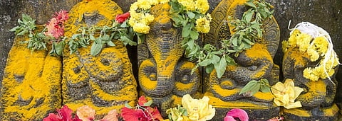 Snakebite: a public health problem you don’t hear of