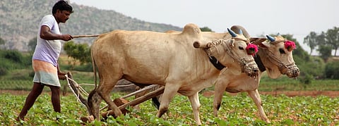 Half-way, doubling farmers’ income is a distant dream