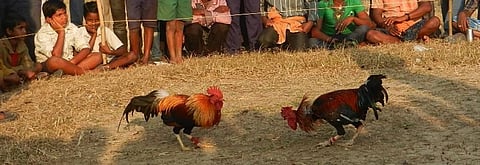 Photo: Ashis Senapati