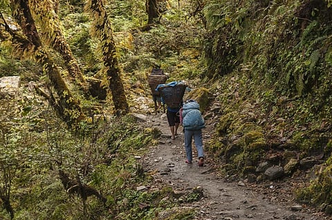 Building institutional foundations for community forest management