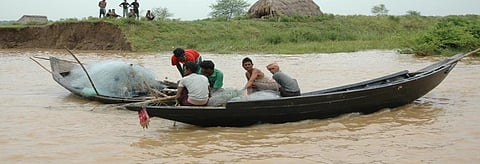 Plight of marine fishermen in Odisha’s turtle zone