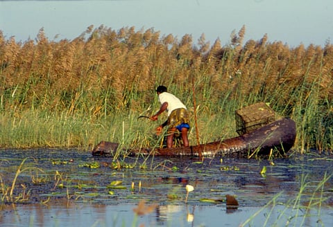 Credit: Rustam Vania