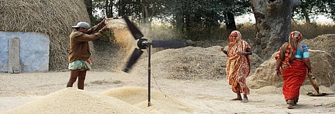 Credit: Getty Images