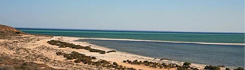Shark Bay: A World Heritage Site at catastrophic risk