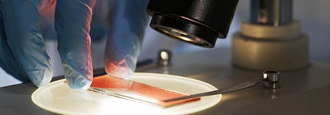 New technique may help quicken production of blood cancer drug