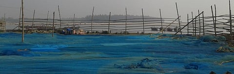 Photo: Sudarshana Chakraborty