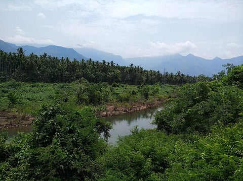 Surprise! India and China are greening faster than rest of the world