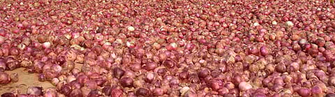 Low inflation rates and dipping food prices: Where do they leave the farmer