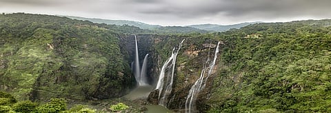 The Jog Falls in Karnataka, surrounded by forests. Credit: Getty Images