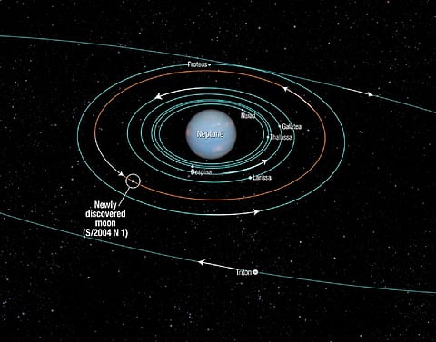 This diagram shows the orbits of several moons located close to the planet Neptune. All of them were discovered in 1989 by NASA's Voyager 2 spacecraft, with the exception of Hippocamp (S/2004 N 1). Credit: NASA, ESA, and A. Feild (STScI)