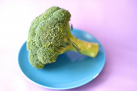 ‘Crash’ diets are potential health hazards: experts