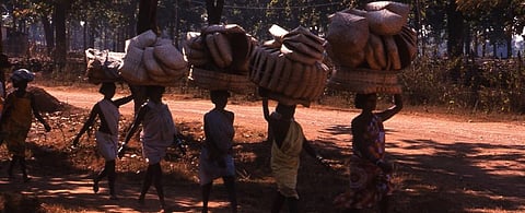 Nine new items added to MSP for minor forest produce scheme