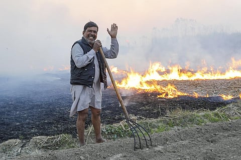 पंजाब, हरियाणा भविष्य में पराली से निपटने के लिए क्या कुछ उठाएंगे कदम, एनजीटी ने मांगी जानकारी
