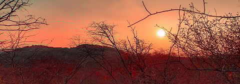 Haryana's move to expose Aravallis to 'development' may turn Delhi into a desert