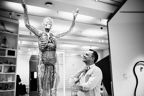 The story of how mammals evolved