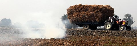 Paddy stubble burning in Panipat, Haryana. Photo: Vikas Choudhary