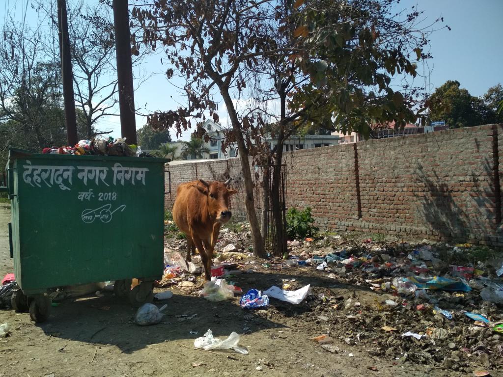 Credit: Varsha Singh