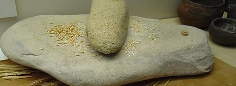 Softer, processed foods changed the way ancient humans spoke