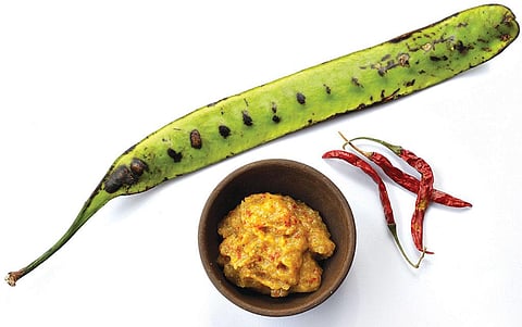 Yongchak flowers and  its beans are part of several Manipuri delicacies, but it is the pods that are most commonly eaten (Photo: Vikas Choudhary)