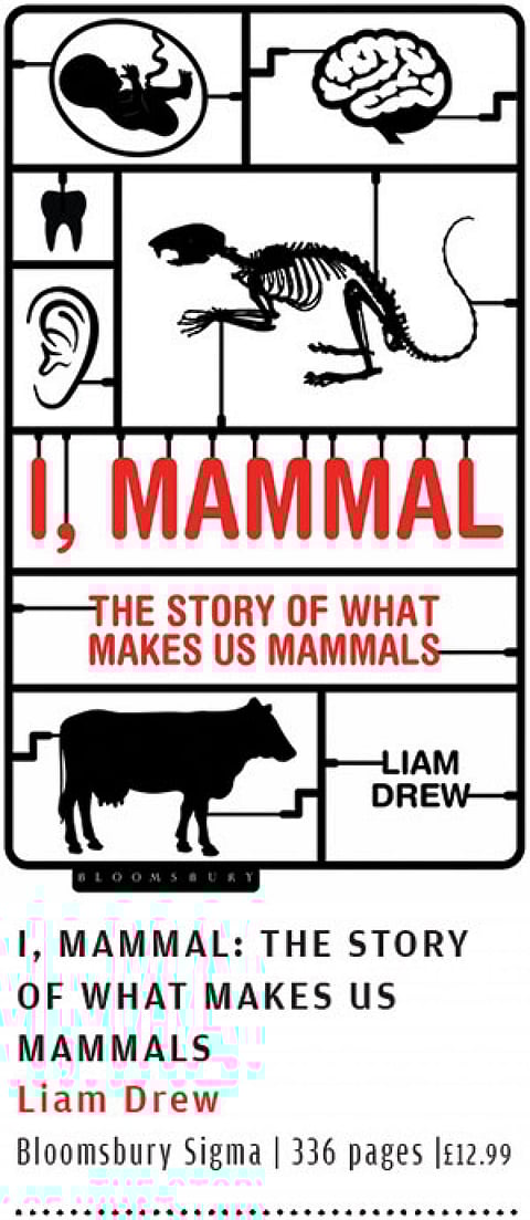 I, Mammal: The Story of What Makes Us Mammals
Liam Drew
Bloomsbury Sigma | 336 pages |£12.99
