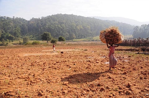 Credit: Shruti Agarwal