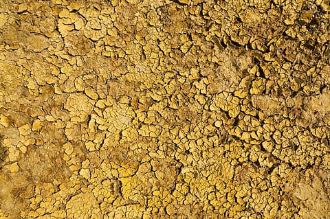 Representational Image. Photo: Getty Images