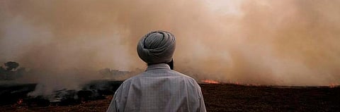 Photo: Wikimedia Commons