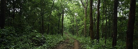 Representational Image. Photo: Adithyan P C/CSE
