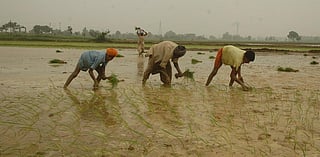 Photo: Agnimirh Basu