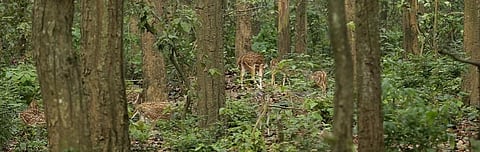 ‘The IFA amendment is a zero draft; all stakeholders will be involved later’