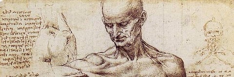 Leonardo da Vinci revisited: how a 15th century artist dissected the human machine