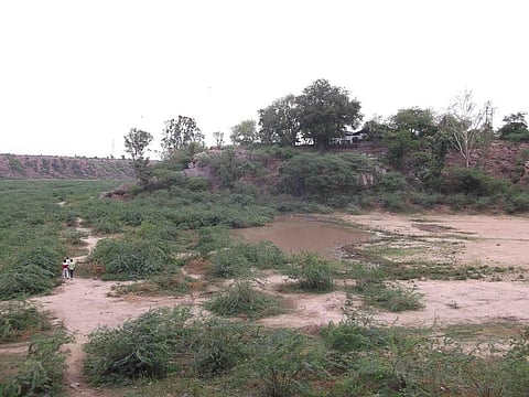 Credit : Rajender Panchal