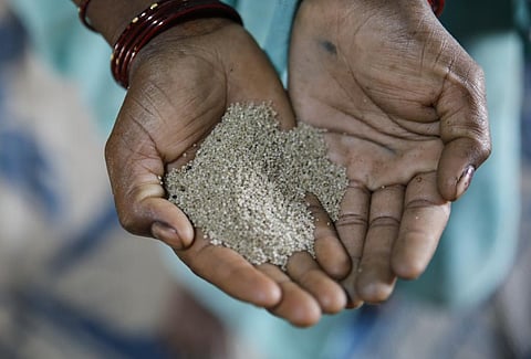 Here is how millets can make India’s food basket climate-resilient