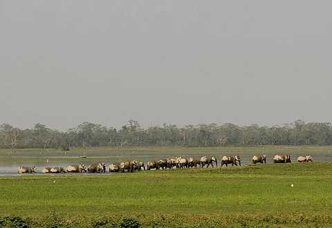 Photo Credit : Kumar Sambhav Shrivastava