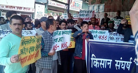 The apple farmers at a protest. Photo: Rajeev Khanna