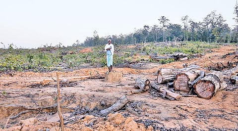 छत्तीसगढ़ के सरगुजा जिले के घबरवा गांव में 70 साल के आदिल साई अरमो बर्बाद हो चुके जंगल के बीच। कभी इस जंगल पर उन जैसे लोगों का अधिकार था जो अब खनन के लिए ले लिया गया है (फोटो: विकास चौधरी / सीएसई)