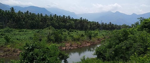 जंगलों को बाढ़ से बचाने के लिए नदियों की सफाई की गुहार