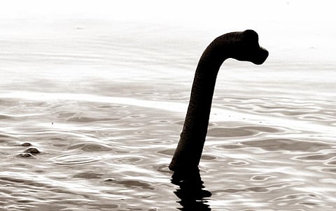 An illustration of Nessie, the Loch Ness Monster and a cryptid. Photo: Getty Images