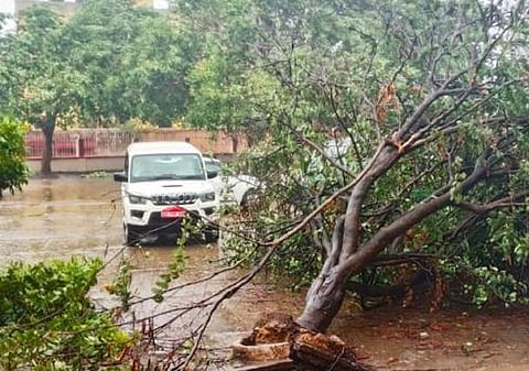 Photo : Ashis Senapati