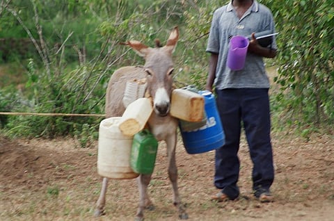 Photo : Eklavya Prasad
