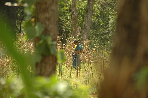 Photo : Agnimirh Basu