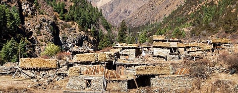 Community leadership reduces deforestation, poverty: Nepal study