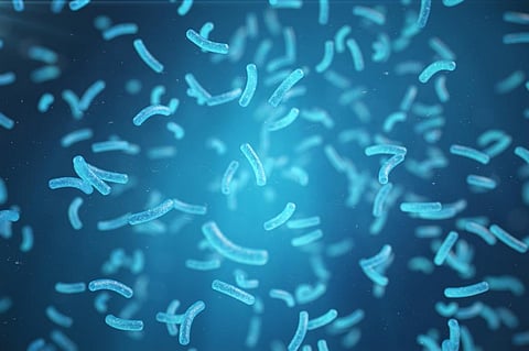 Giant Viruses found in water samples from Mumbai