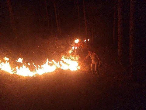 दिकवाली वन पंचायत में लगी आग : फोटो साभार - उत्तराखंड वन विभाग