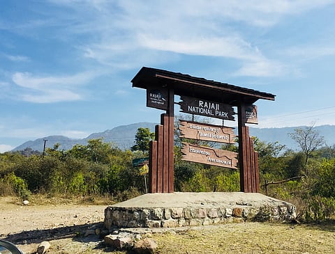 Photo Credit : Pexels