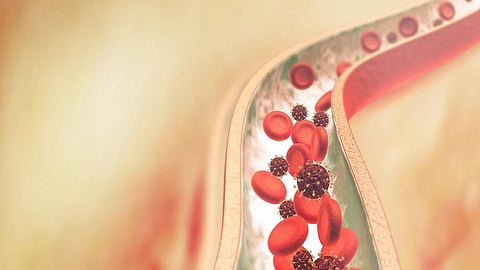 US researchers bioengineer real-time visual speedometer