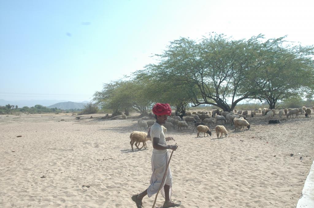Photo : Samrat Mukharjee